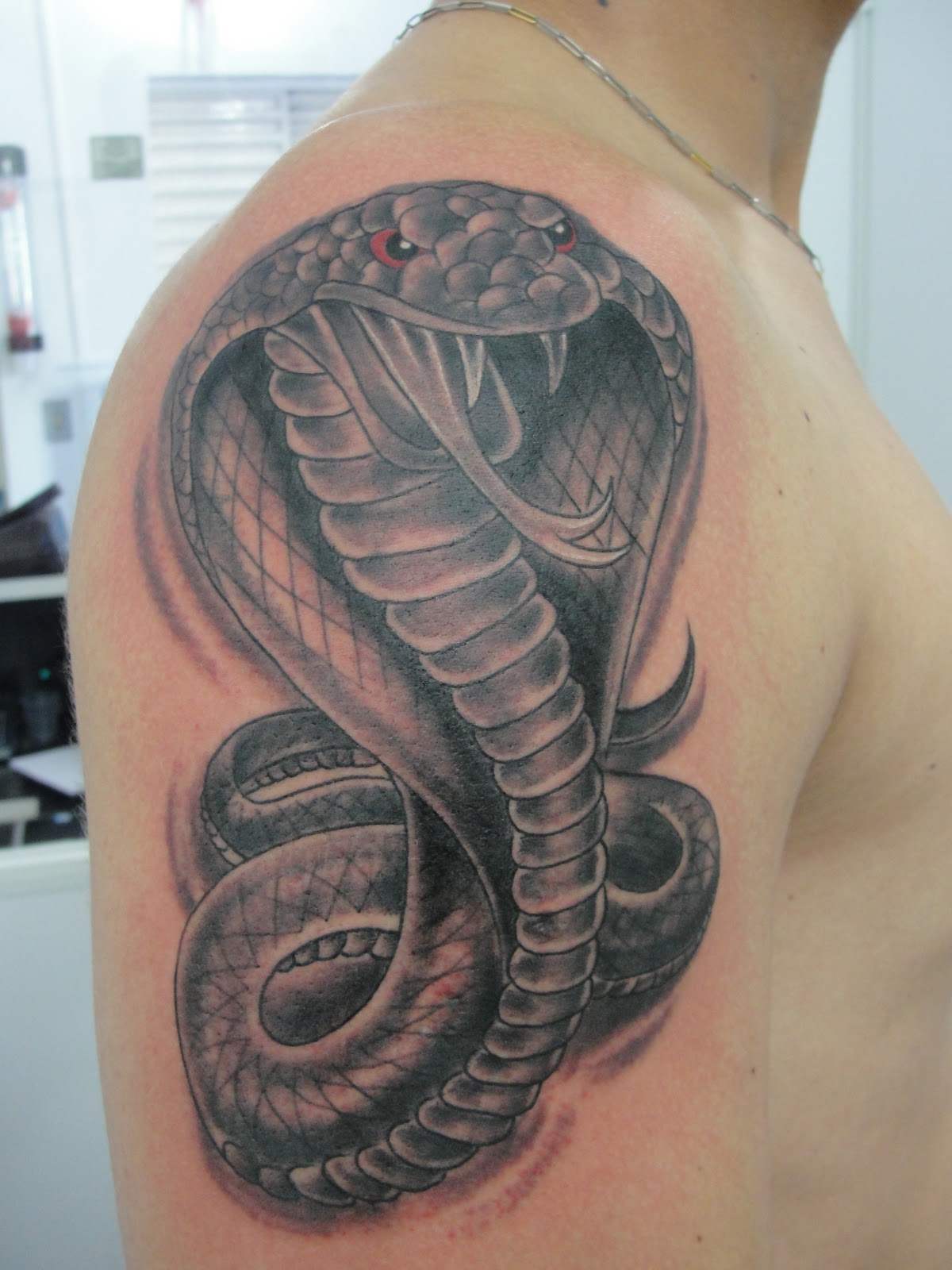 Arte Na Pele Tattoo Cuiaba Tattoo Cobra Naja