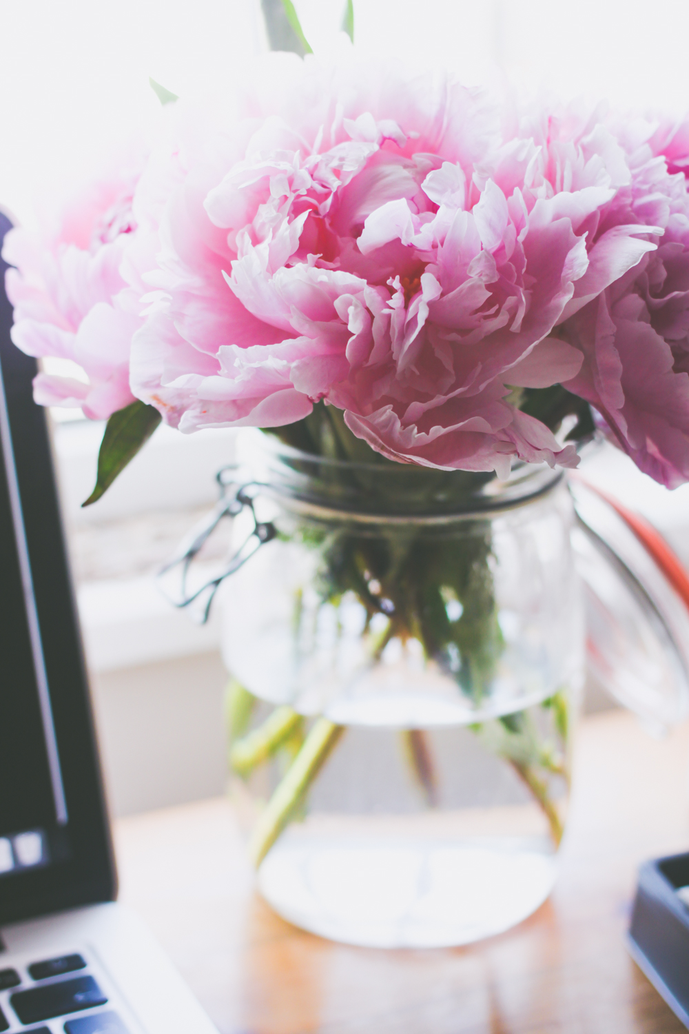 5 Things I'm Loving Right Now | www.hannahemilylane.com