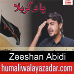 https://www.humaliwalyazadar.com/2018/09/zeeshan-abidi-nohay-2019.html