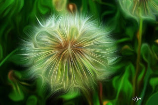 Blumen, flores, Flower, fleurs, květiny, Flores, blomme Fauna, Flora, Tiere, Vögel, Fische, Insekten, Blumen, Bäume, Berge, Meer, Ozean, Natur, Sonne, Mond, animals, birds, fish, insects, flowers, trees, mountains