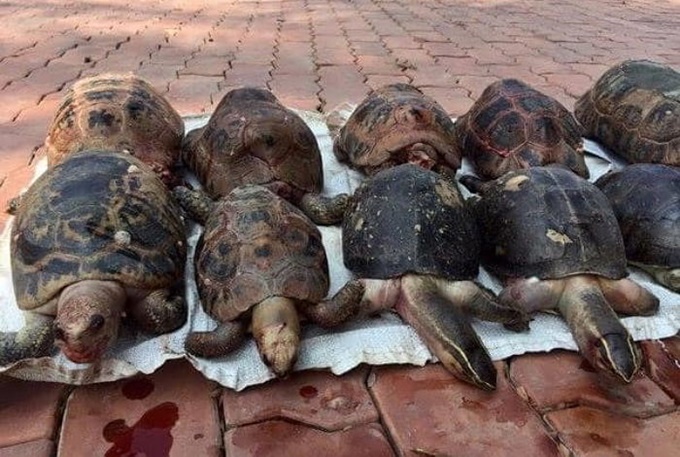 이미지에 대체텍스트 속성이 없습니다; 파일명은 j4tni6b1d6jk6j0v09x6.jpg 입니다.