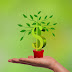 Aumentar nuestra capacidad financiera con estos 6 simples trucos