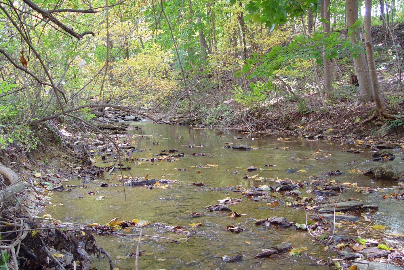 PA Environment Digest Blog: Op-Ed: National Fish & Wildlife Foundation