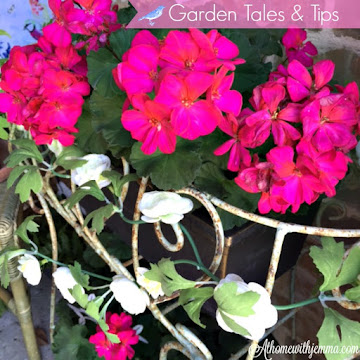Garden Tips Segment Two