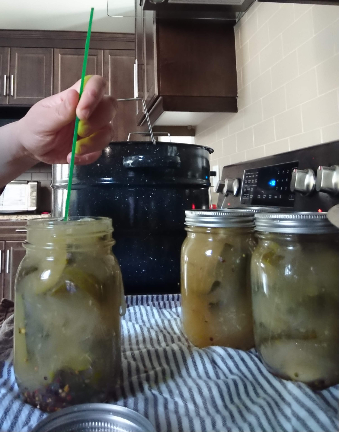 Pickling with Lemon Juice Limitless Allergies