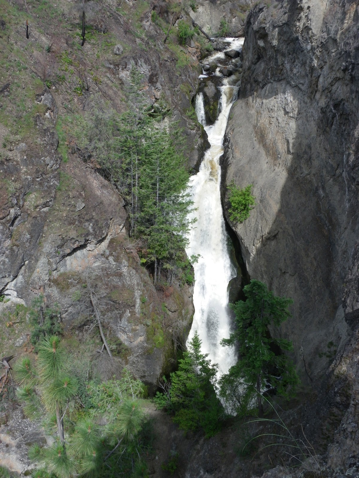 PICKING POSIES BEAR CREEK PROVINCIAL PARK