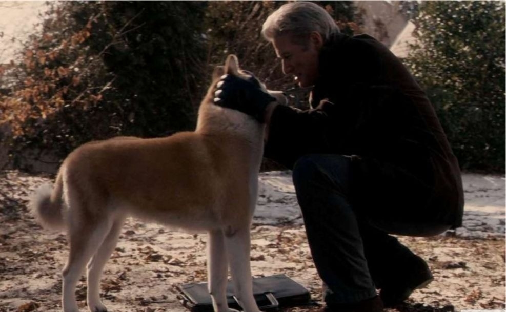 Biblioteca de Curiosidades Recuerda la historia de Hachiko, el perro