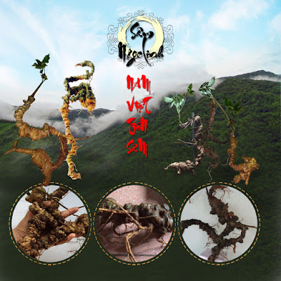 1000x1000-hinh-dau-tien-trong-bai-viet.jpg 1000x1000-hinh-dau-tien-trong-bai-viet.jpg