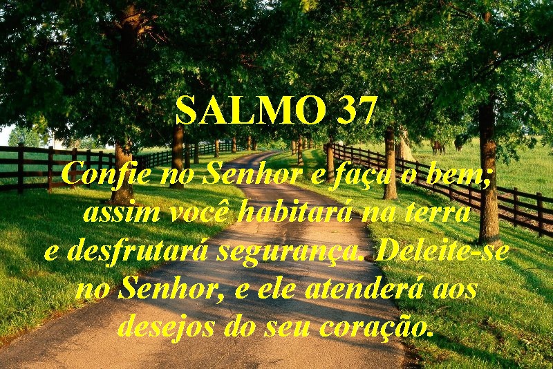 Pérolas Preciosas-Cartões: Salmos 33 a 42