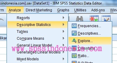 Analyze – Descriptive Statistics – Explore SPSS