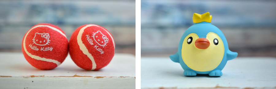 Hundespielzeug Hundeball Breezy Coockoo Plüscheis Kellytoy Vinyleis Rosewood Jolly Doggy Hello Kitty Hundebälle Sanrio Hello Kitty Dog Collection Pinguin Elite Hundespielzeug Hundeball Breezy Coockoo Plüscheis Kellytoy Vinyleis Rosewood Jolly Doggy Hello Kitty Hundebälle Sanrio Hello Kitty Dog Collection Pinguin Elite
