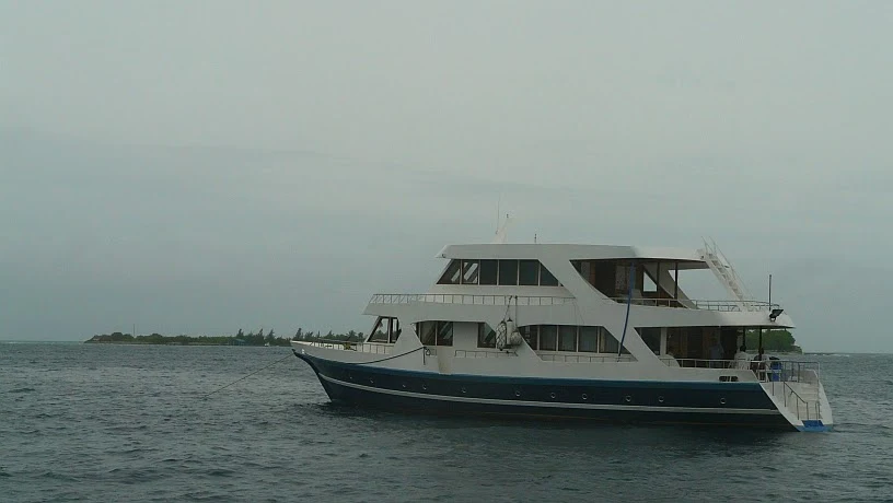 surfari maldivas nuestro barco