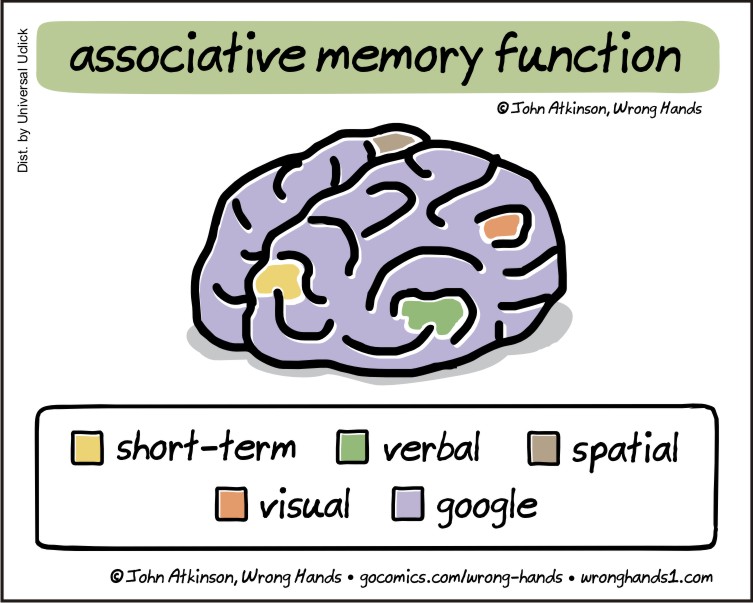 Memory functions. Memory functions. Types of human memory. Memory process. Сенсори группа запахи.