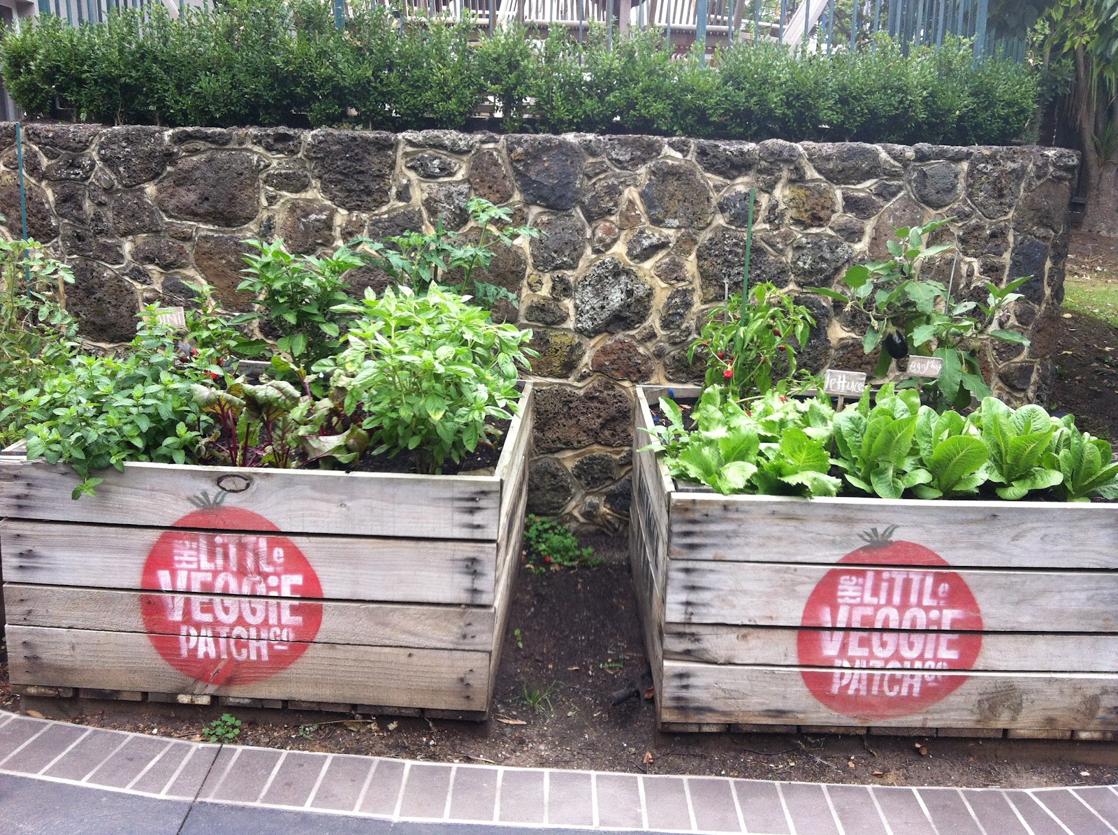 URBANFIT STUDIO My Veggie Patch...