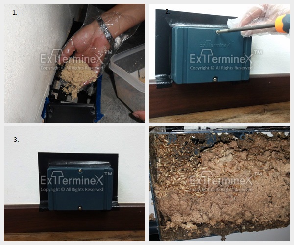 Metro Pest Control Services EXTERMINEX TERMITE BAITING STATIONS