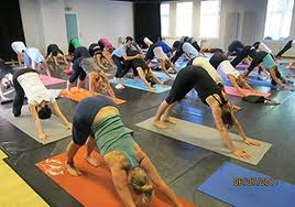 Yoga Tours India