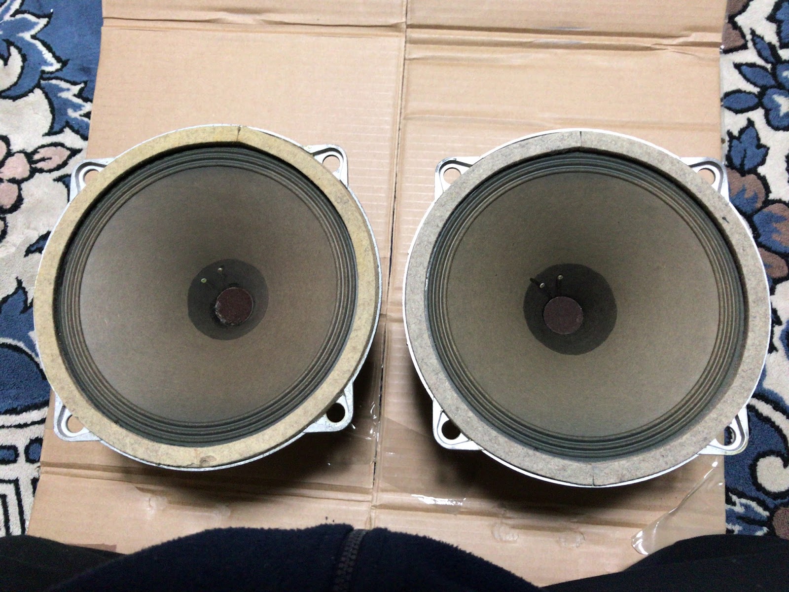 Telefunken Ela L8 1262 テレフンケン フルレンジスピーカー