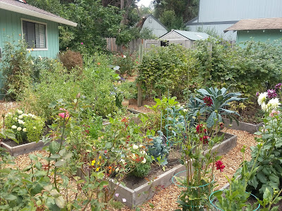 The Scientific Gardener: Linda's Garden