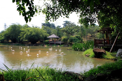 Image result for wetland park putrajaya