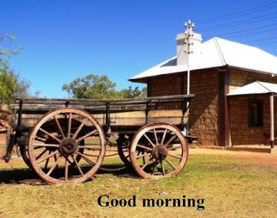 Good morning nature images free download - cart in nature Good morning nature images free download - cart in nature