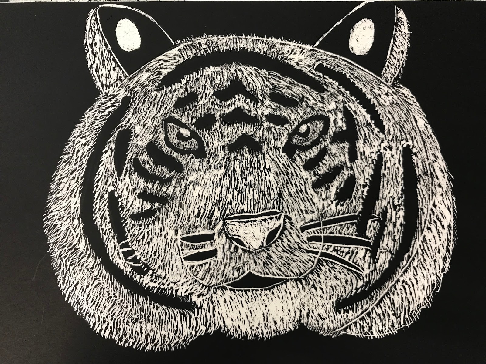 Mrs. Wille's Art Room Amazing scratchboards