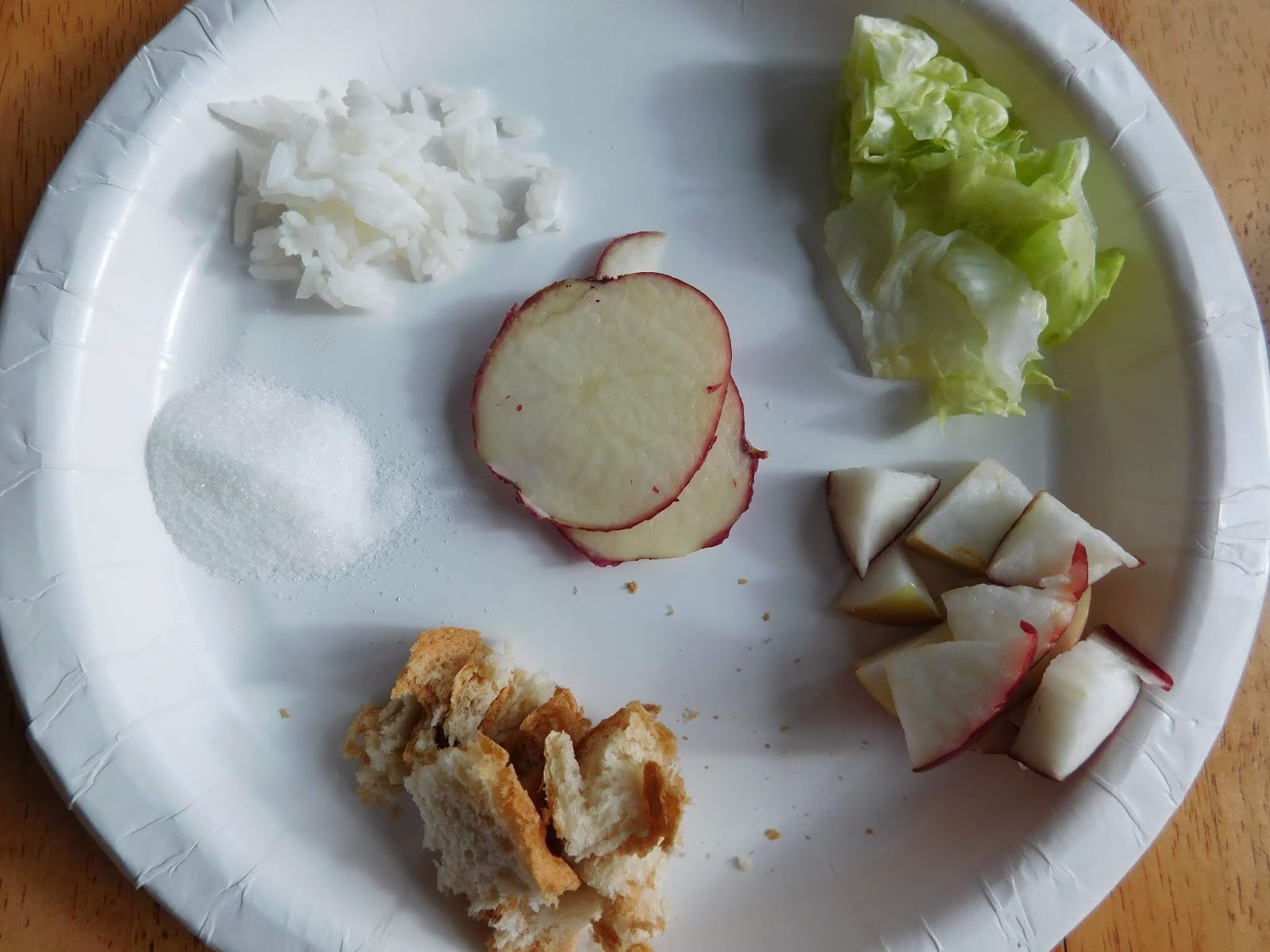 100 Days of Science 53 Iodine and Starch Experiments