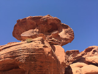 Fun staycation or homeschool field trip in the las vagas area! Valley of Fire state park.
