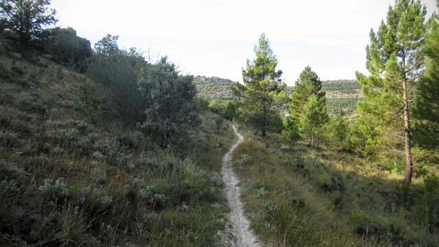 Senda de los Chorros