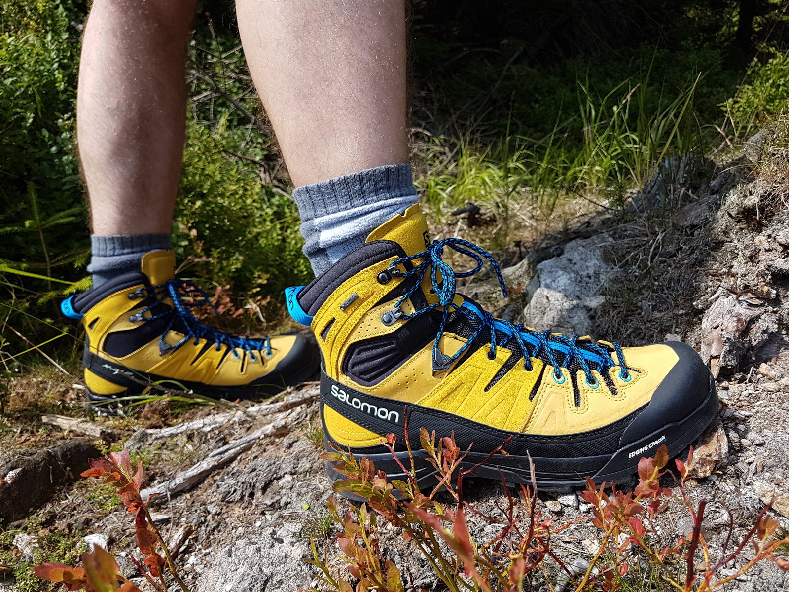 salomon x alp high ltr