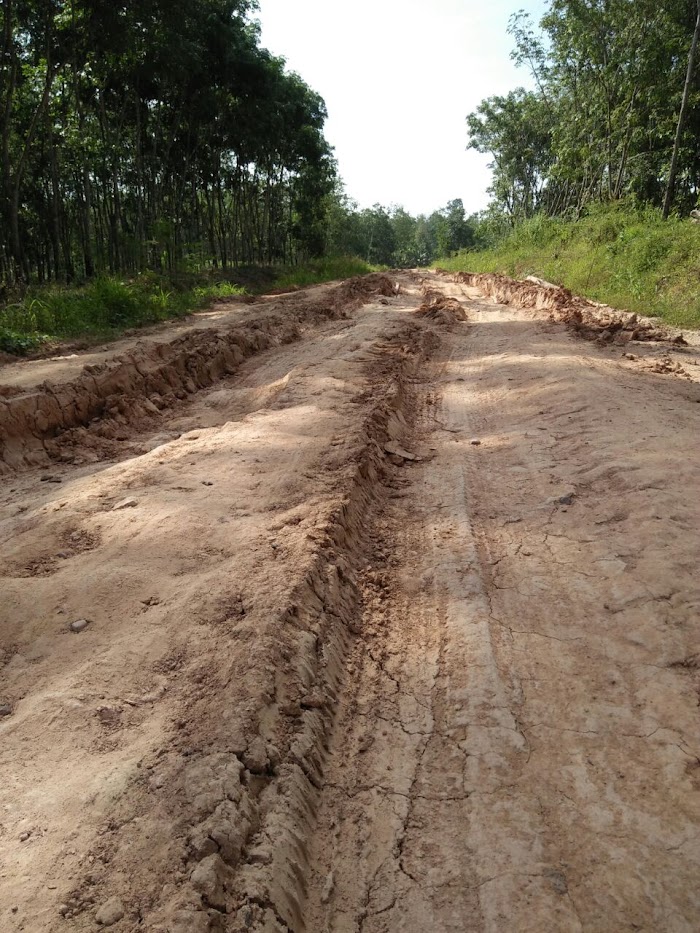 Warga Meminta Perbaikan Jalan Poros Provinsi Di Tubaba.