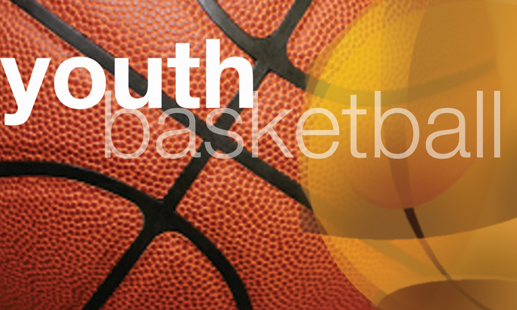 HD Desktop Wallpaper: basketball wallpaper