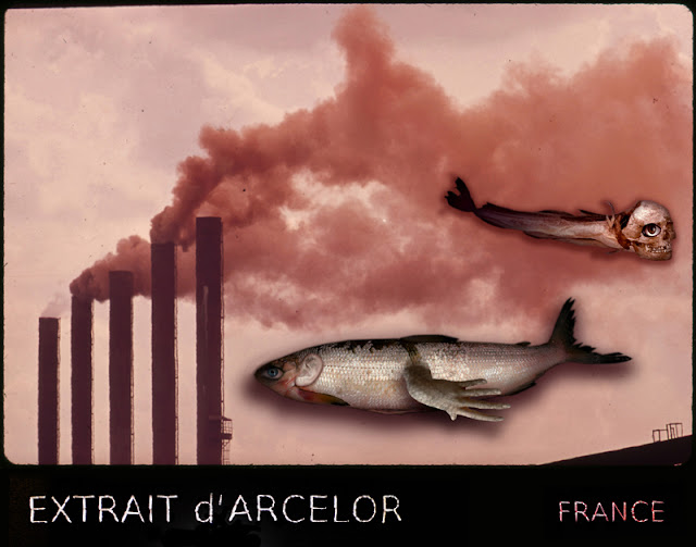 Poison Arcelor Poison Arcelor, Photographie brodée 55 x 70, 2016