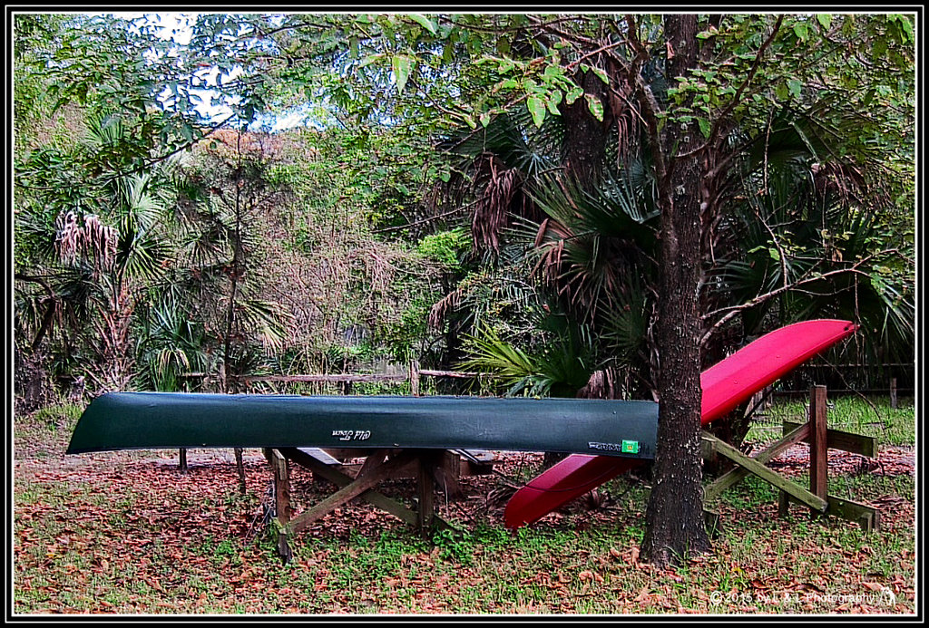 Ocala, Central Florida & Beyond Canoes and Kayaks for Rent at Silver River State Park