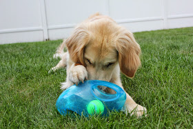 kong jumbler football