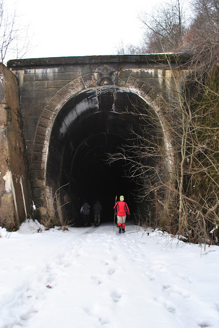Фоторепортаж з Карпат: як виглядає закинутий залізничний тунель у Волосянці (фото)