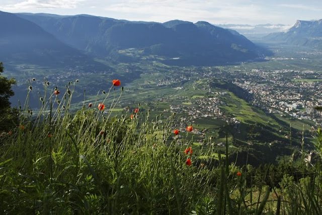 Herrlicher Ausblick über das schöne Etschtal im Herzen Südtirols... Herrlicher Ausblick über das schöne Etschtal im Herzen Südtirols...