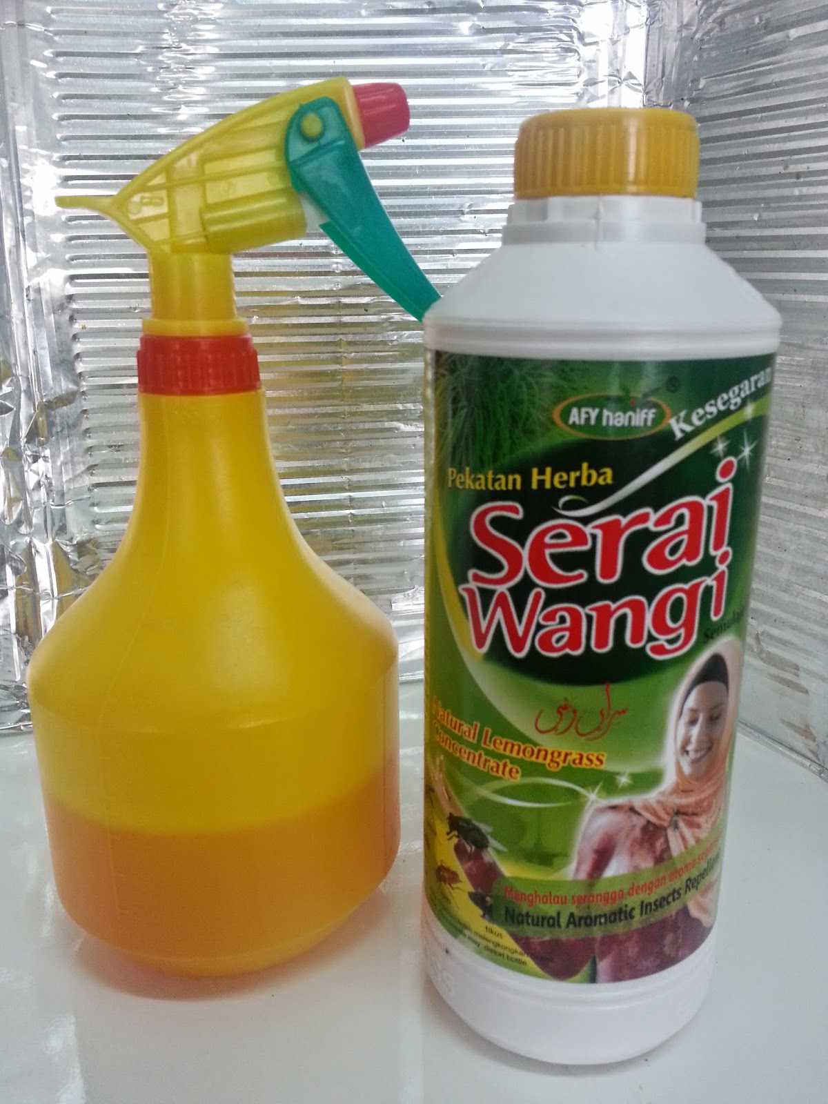 Twilight Zone How To Get Rid Of Lizards?