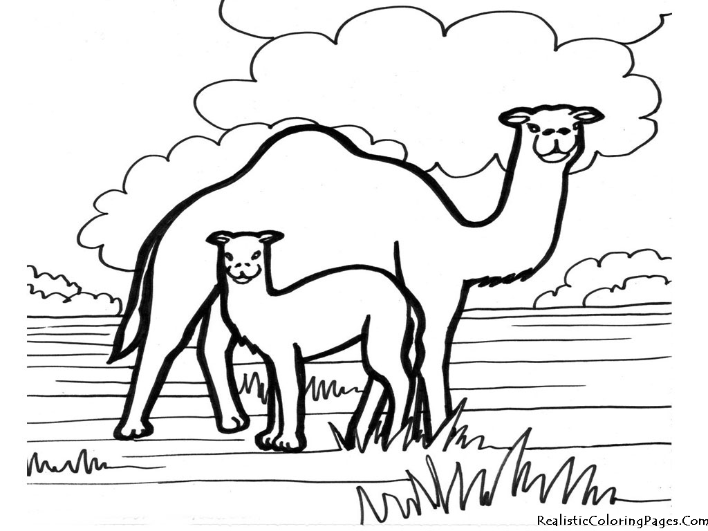 cesious coloring pages - photo #19