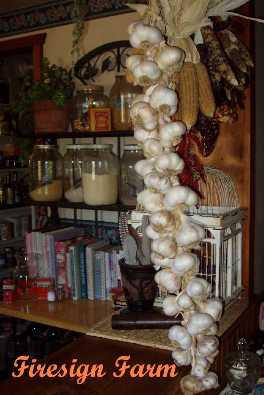 Firesign Farm Braiding Garlic for LongTerm Storage