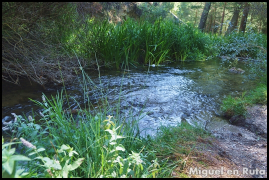 Cascada-Batida-Molino-Viejo