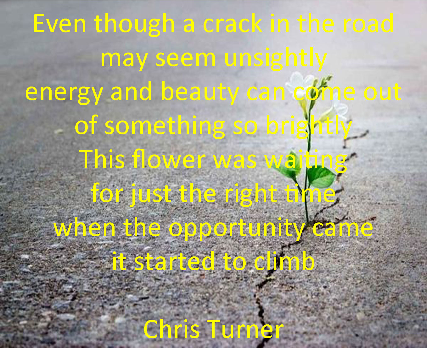 Chris Turner's Memoirs Pushing through the cracks of opportunity.