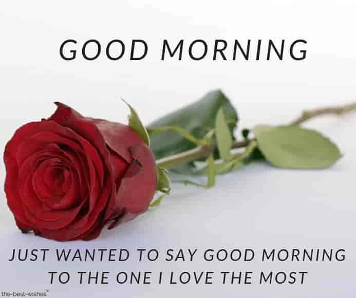 good morning message with red rose