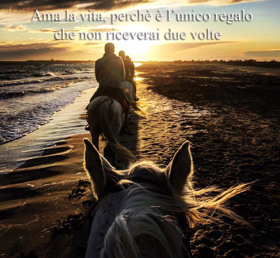 1001 Sorriso Amare Per Vivere Il Pensiero Positivo E Come La Luce Del Sole