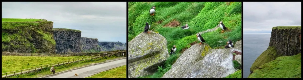 Ryanair Weekend Destination Ideas: The Cliffs of Moher and Puffins