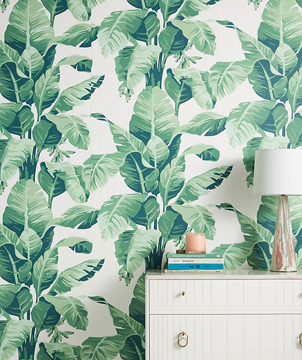 Nathan Turner Pacifico Palm Wallpaper