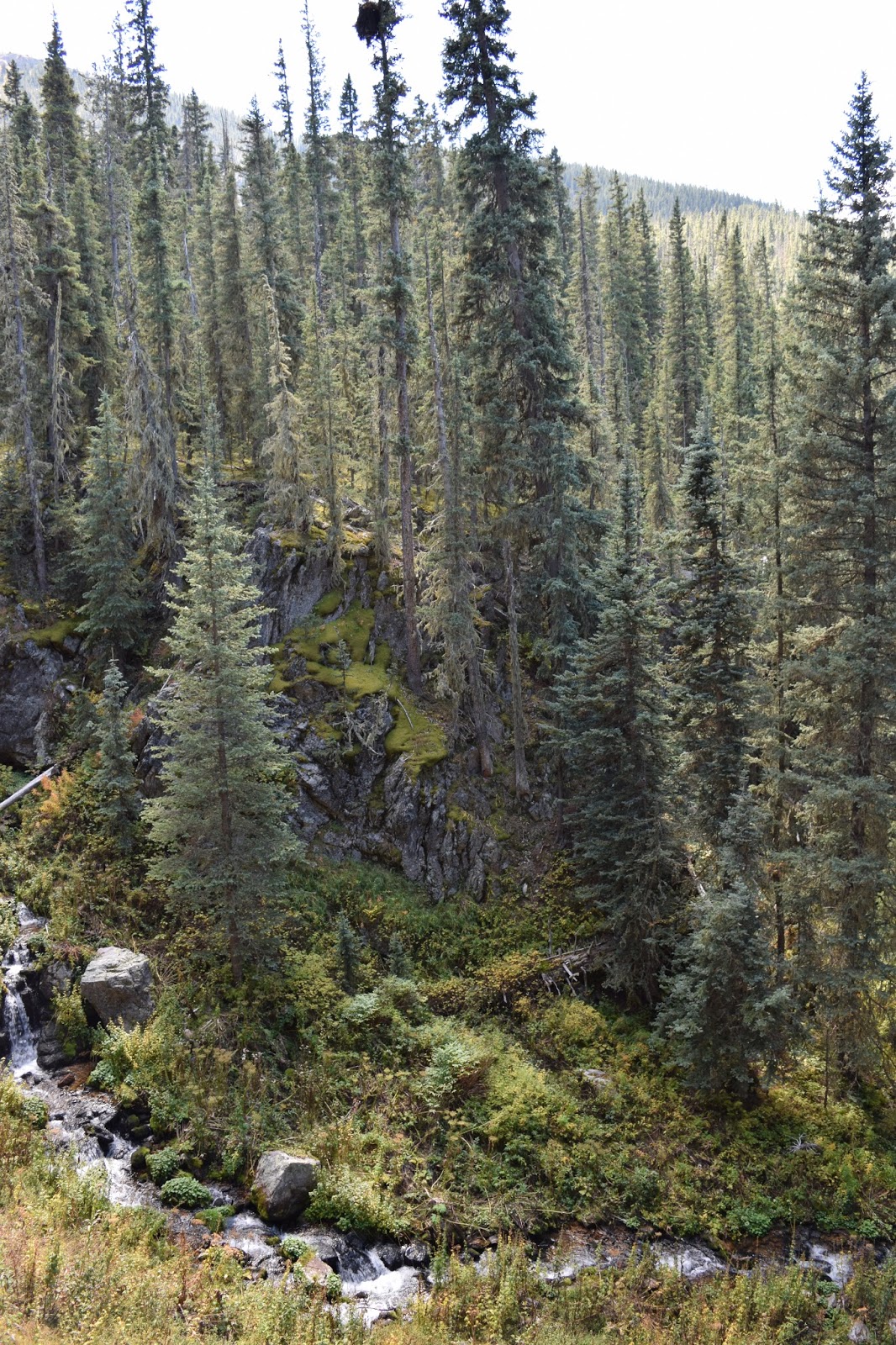 Diane and Stephen's Excellent Albuquerque Adventure Hiking to Rio