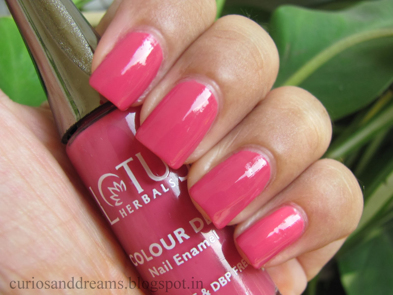 Lotus Herbals Color Dew Nail Enamel, Pure Plum Review Curios and