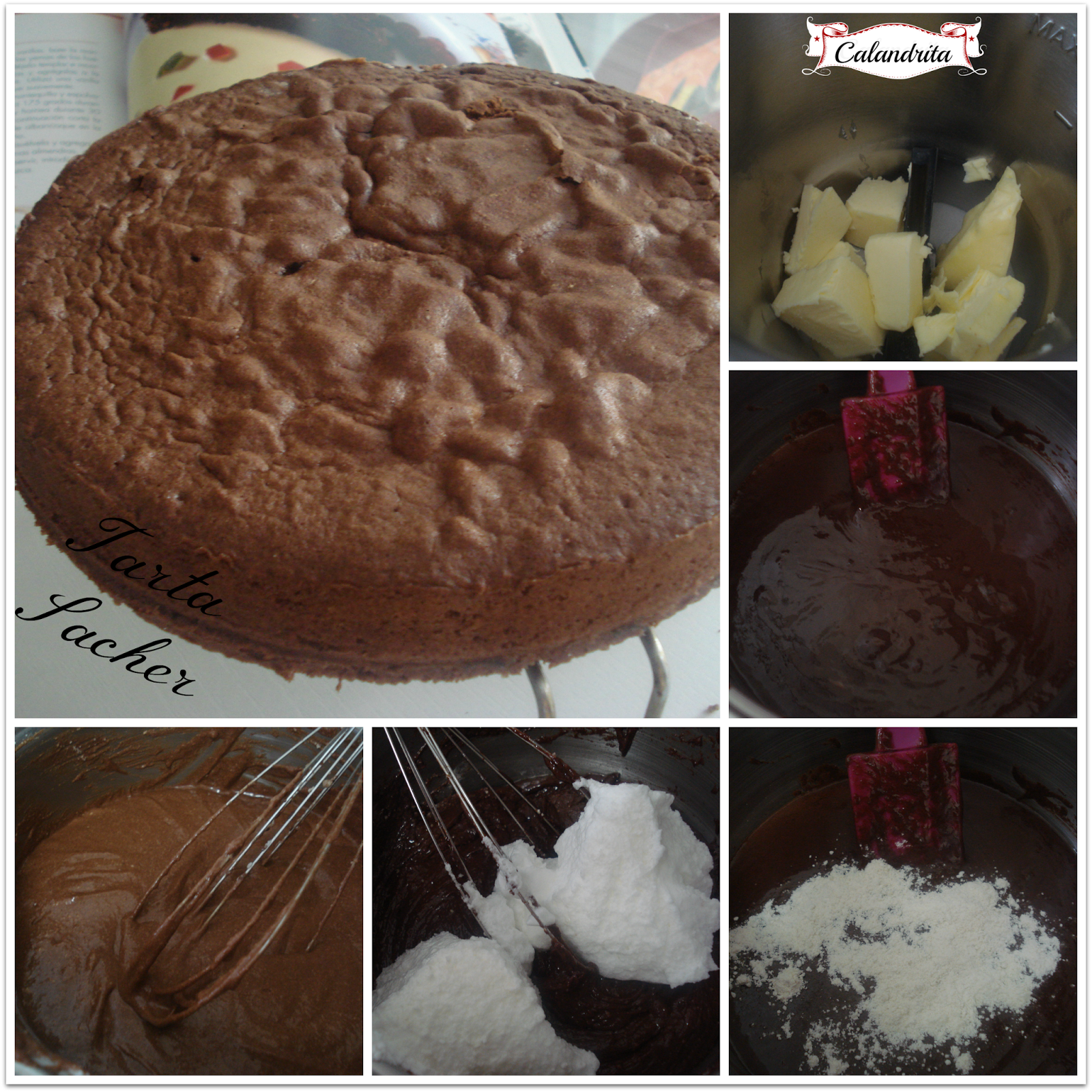 PicMonkey+Collage-sacher+preparacion+I.png