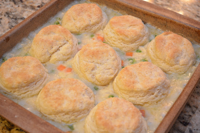 Chicken Pot Pie With Biscuit Topping | Fall Recipes That Aren't Boring | Homemade Recipes