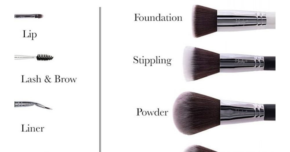 Types Of Makeup Brushes The Complete Guide To Makeup Brush Names And Uses Pukrol Satwa